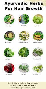 Ayurvedic Herbs For Hair Growth Herbs For Hair Growth Herbs For Hair Ayurvedic Hair Care