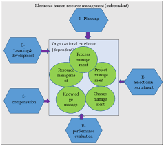 human resource management ...