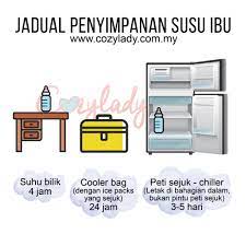 Hal tersebut karena dengan kemampuan aplikasi menyimpan dan menghitung sendiri pph terutang. Cara Simpan Susu Ibu Perkongsian Penyusuan Oleh Cozy Lady