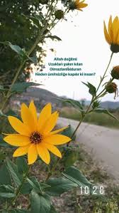 Allah En Iyisini Bilir Guzel Soz Ozlu Sozler Guzel Hayat