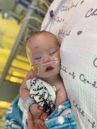 Owen's Medical Journey with Liver Tumors and Lung Issues