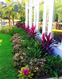 Attract Hummingbirds With Sunhosta | Drought Tolerant Gardening