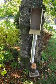 Construction D Un Fumoir Economique Pour Fumage A Froid Fumoir Fumage Fumoir Maison