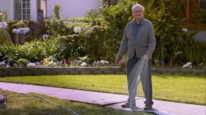 @bubbagumpino's video Tweet