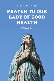 Prayer To Our Lady Of Good Health Aka Our Lady Of Velankanni Prayers Catholic Prayers Catholic Family