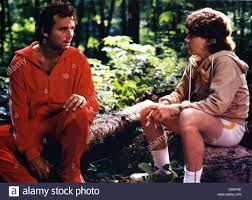 Download This Stock Image Meatballs Dxkp0e From Alamy S Library Of Millions Of High Resolution Stock Photos Il With Images Stock Photos Paramount Pictures Stock Images