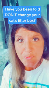 Toxoplasmosis Risks: Avoid Changing Cat Litter When Pregnant