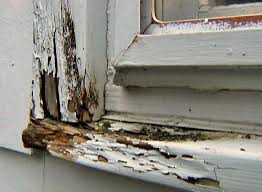 How To Remove And Repair Dry Rot In Wood Diy Home Repair Wood Repair Diy Home Improvement