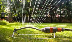 To determine how long you need to water to get one inch, place a plastic container in your yard and set a timer. Lawn Watering Tips For Columbus Oh Homeowners Lawnstarter
