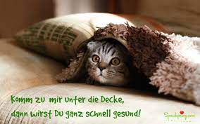 Versende echte postkarten und grußkarten mit mypostcard. 17 Gute Besserung Wunsche Bilder Spruche Videos Spruche Zitate Gifs Bilder