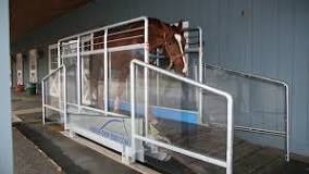 Image result for how much does a underwater treadmill cost