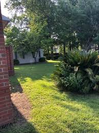 Find taylor apartments, condos, townhomes, single family homes, and much more on trulia. Apartments For Rent In Taylor Al 12 Rentals Trulia