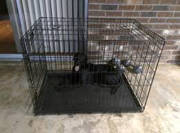 (421) total ratings 421, $34.90 new. Medium Dog Cage Walmart