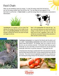 Choose From The Terms Below. (A) Herbivore (B) Producer (C) Primary Consumer  (D) Secondary Consumer (E) Decomposer Has The Greatest Mass In Any Food  Chain | Numerade