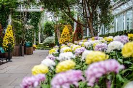 Check spelling or type a new query. The New York Botanical Garden In The Bronx