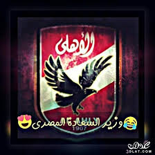 الأهلي صور للنادي الأهلي صور لمحبي النادي الاهلي Canada Flag Painting Country Flags