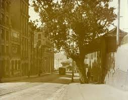 Phillip St Sydney In The Early 1900s History Australia Outdoor