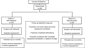 Flow Chart Of The Study Download Scientific Diagram