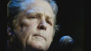 Art that speaks for the sea: Mandy Barker's mission to end fast fashion  waste