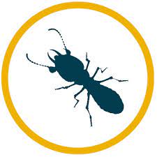 Thousands of customers can't be wrong! Pest Control Termite Protection Lawn Care Services Massey Services