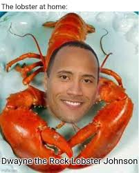 Ready to laugh & Bomb my ass off