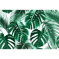 Ahern Removable Tropical Palm Leaves 6 58 L X 125 W Peel And Stick Wallpaper Roll Palm Trees Wallpaper Leaf Wallpaper Tree Wallpaper