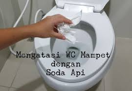 Cara Mengatasi Wc Mampet Dengan Cepat Dan Mudah Cara Tutor