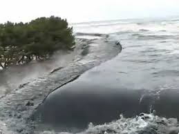 So she's pronouncing it the i speak japanese, but i didn't pick it up on her pronunciation, and it seems like a tiny thing to be. Stabilized Footage Of Japanese Tsunami Incredible Youtube Tsunami Waves Tsunami Amazing Nature