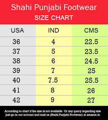 Shahi Punjabi Footwear Womens Traditional Ethnic Brown Leather Jutti Mojari By Spf 1113