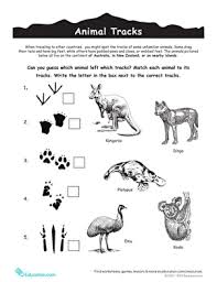 Children Learn About The Animals That Inhabit Australia In This Tracks Matching Activity Australia Animals Animal Tracks Australian Animals