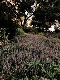 「Your email address if any saturnine」的圖片搜尋結果