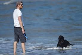 Here you will find all of your favouri. Tsgnbr3xkfr3am