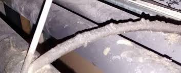 If the hole isn't big enough, they'll chew their way through. Signs Of Mice Tell Tale Signs Of A Mouse Infestation Rentokil