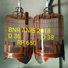 Beternak lovebird pada dasarnya dipengaruhi beberapa faktor. Terima Tukar Tambah Sangkar Jual Beli Sangkar Burung Facebook