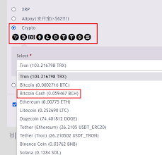 How to Buy Bitcoin Using VISAMaster Card - Stingy cat