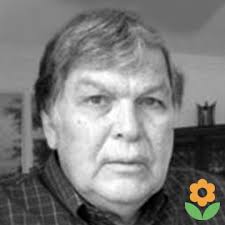 Terry Herbert, Author at Curetalks