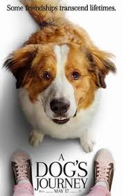 The best new movies in november 2019. A Dog S Journey Film Wikipedia