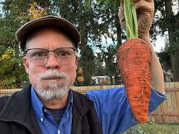 Main onion tunnel biggest 18.5 inches circumference 13 inches high average  is 16 circumference about 18 to 19 leaves