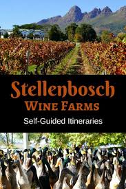 Stellenbosch Wine Farm Itineraries Travel Best Places To Travel Travel Spot