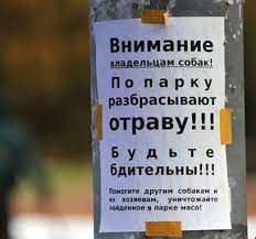 esli sobaka sela krysinyj yad sobaki balabaki