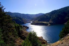 We did not find results for: Why You Need To Go Cycling In Aspromonte National Park Italy
