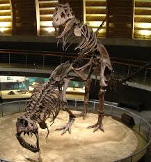 Dinosaur erotica - Wikipedia