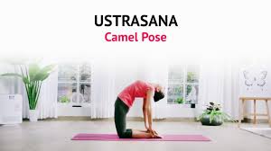 How To Do Ustrasana Camel Pose Benefits Steps Yogic Fitness Art Of Living Yoga Youtube