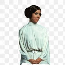 Free Free 256 Princess Leia Png SVG PNG EPS DXF File