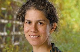 Academics, scientists, entrepreneurs: Chile's «captain planets» fighting  climate change