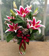 We did not find results for: Https Www Michlers Com Daily Https Www Michlers Com Products Orchids 2021 06 30t16 10 00 04 00 Daily Https Cdn Shopify Com S Files 1 0108 5782 Products Dscf0923 Jpg V 1624481126 Phalaenopsis Orchid Https Www Michlers Com Products Test