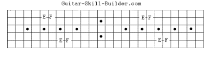 Guitar Neck Diagram Wiring Diagrams