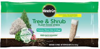 Neem cake fertilizer spikes for fruit trees. Miracle Gro Tree Shrub Plant Food Spikes