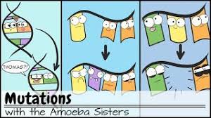 There are three mutations you explored in this activity. Mutations Updated Youtube