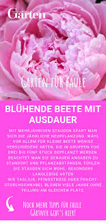 Garten Fur Faule Viel Spass Wenig Arbeit Stauden Ziergarten Pflanzen